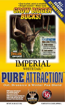 Imperial Whitetail Pure Attraction